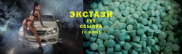 ECSTASY Богданович